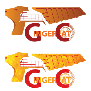 Logo Design by LEVEL vip