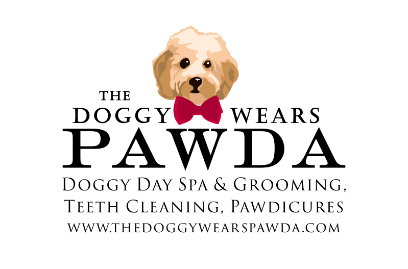 Logo Design by Amduat Design for The doggy wears Pawda  | Design #17698388