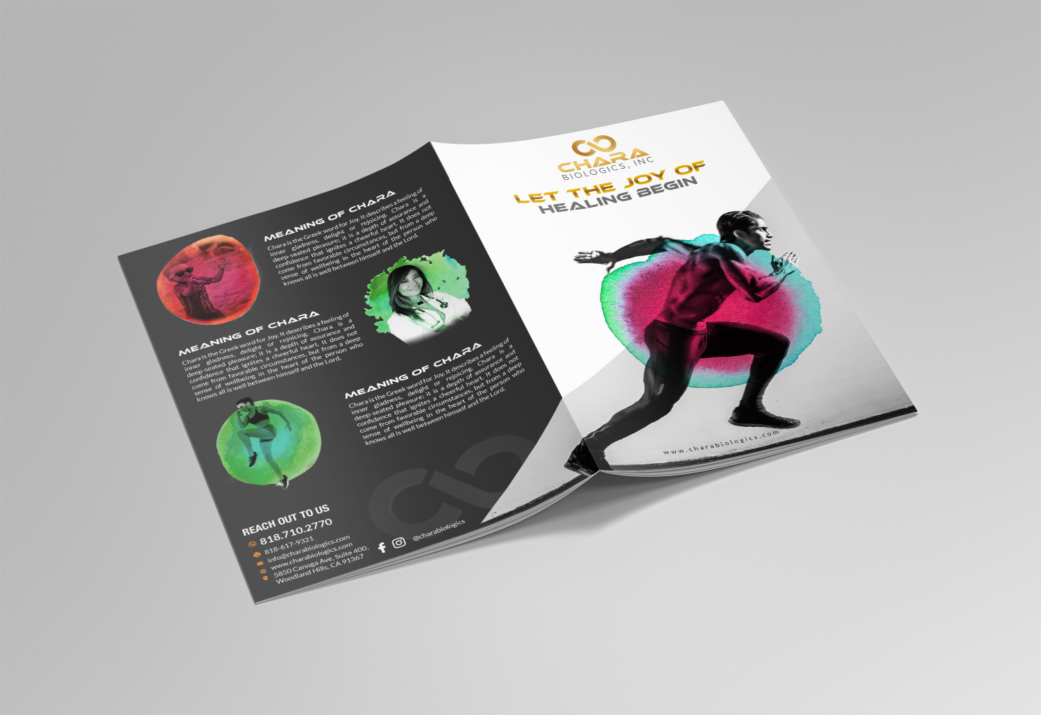 Brochure Design by debdesign for this project | Design #17443194