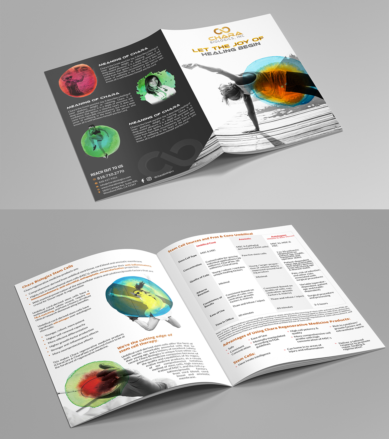 Brochure Design by debdesign for this project | Design #17448851