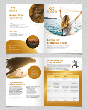 Design de Brochure par sun_design pour ce projet | Design #17450794