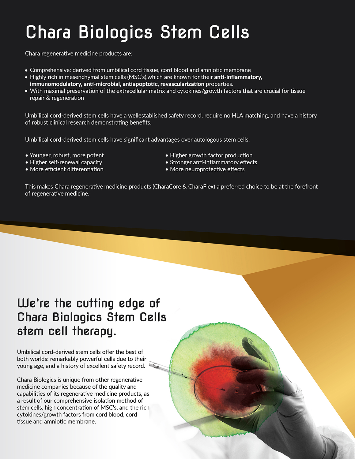 Design de Brochure par Deziners Zone pour ce projet | Design #17442726