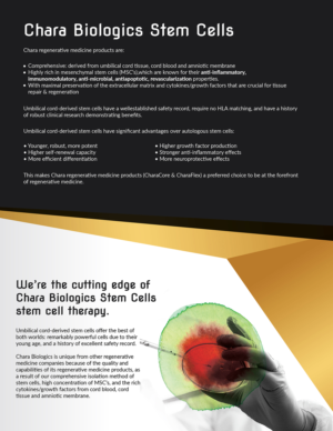 Brochure Design by Deziners Zone for this project | Design: #17442726