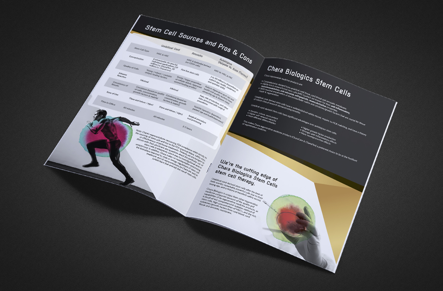 Brochure Design by Deziners Zone for this project | Design #17443046