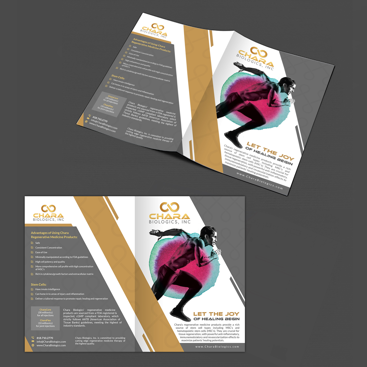 Brochure Design by creative.bugs for this project | Design #17445067