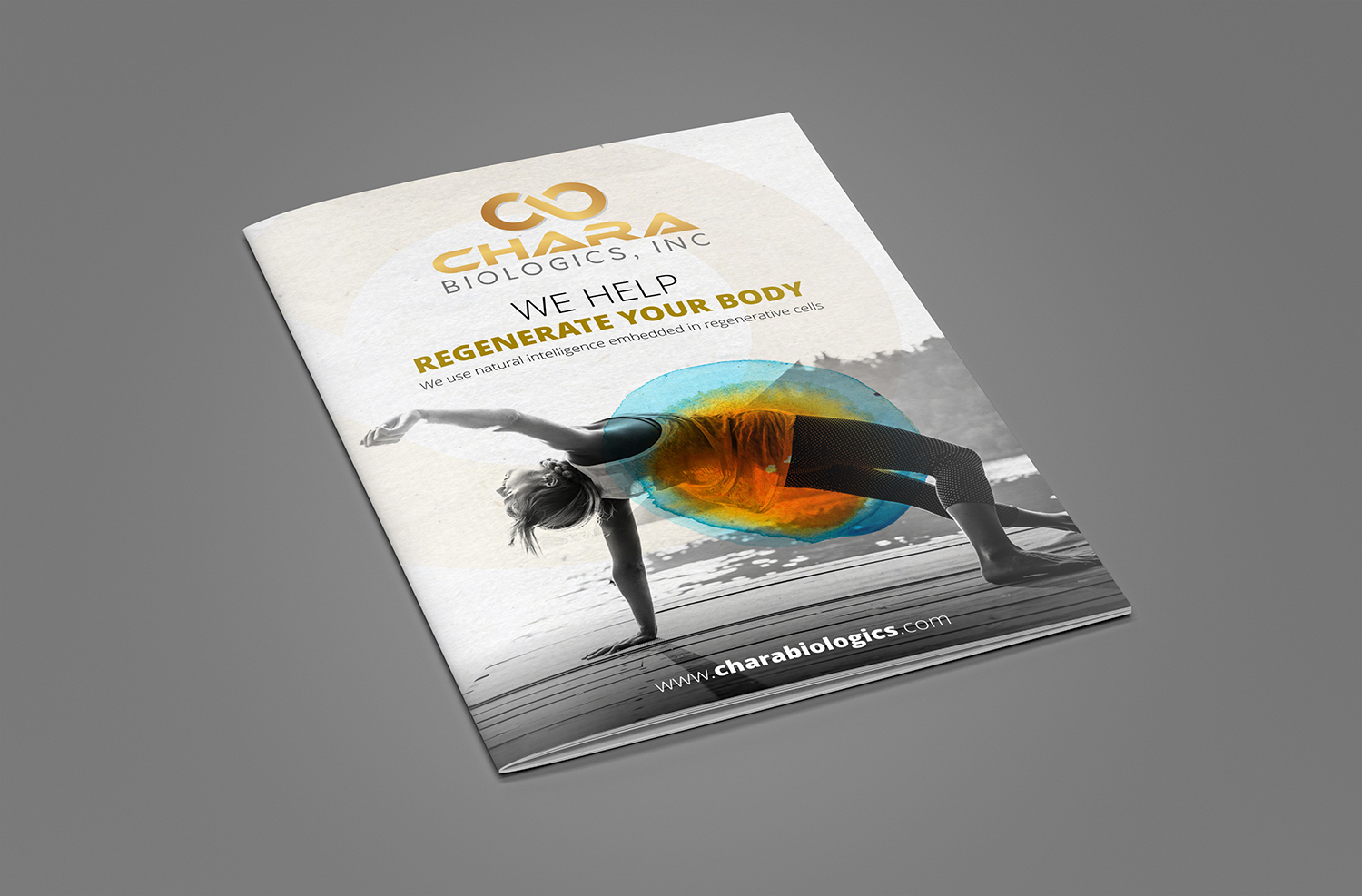 Brochure Design by ecorokerz for this project | Design #17441795