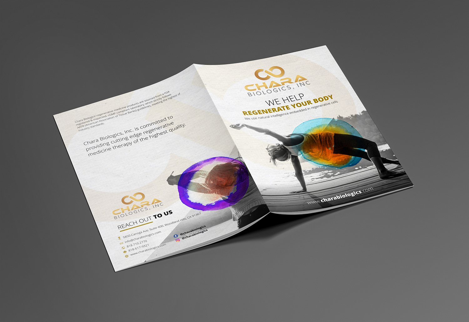 Brochure Design by ecorokerz for this project | Design #17441796