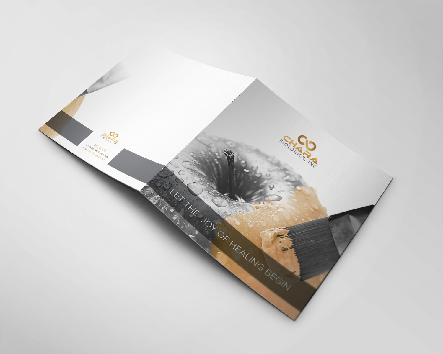 Brochure Design by banedsgn for this project | Design #17482703