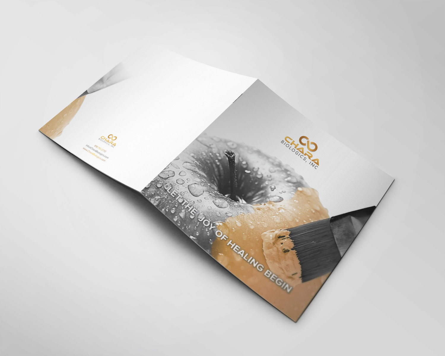 Brochure Design by banedsgn for this project | Design #17482704