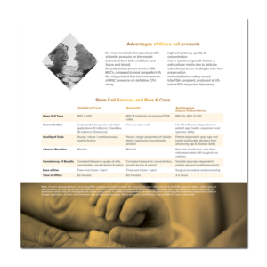 Brochure Design by banedsgn for this project | Design: #17493253