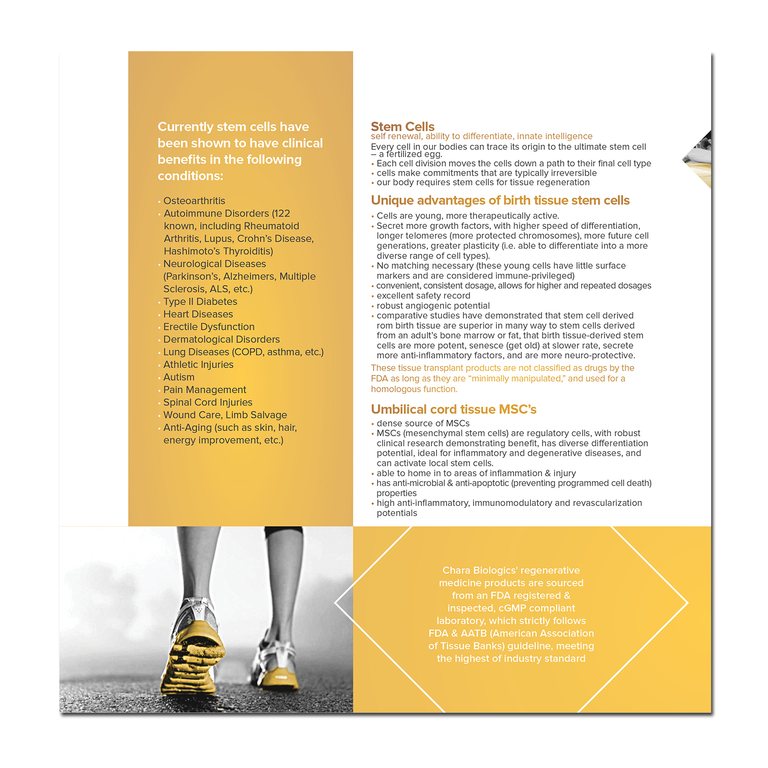 Brochure Design by banedsgn for this project | Design #17527560