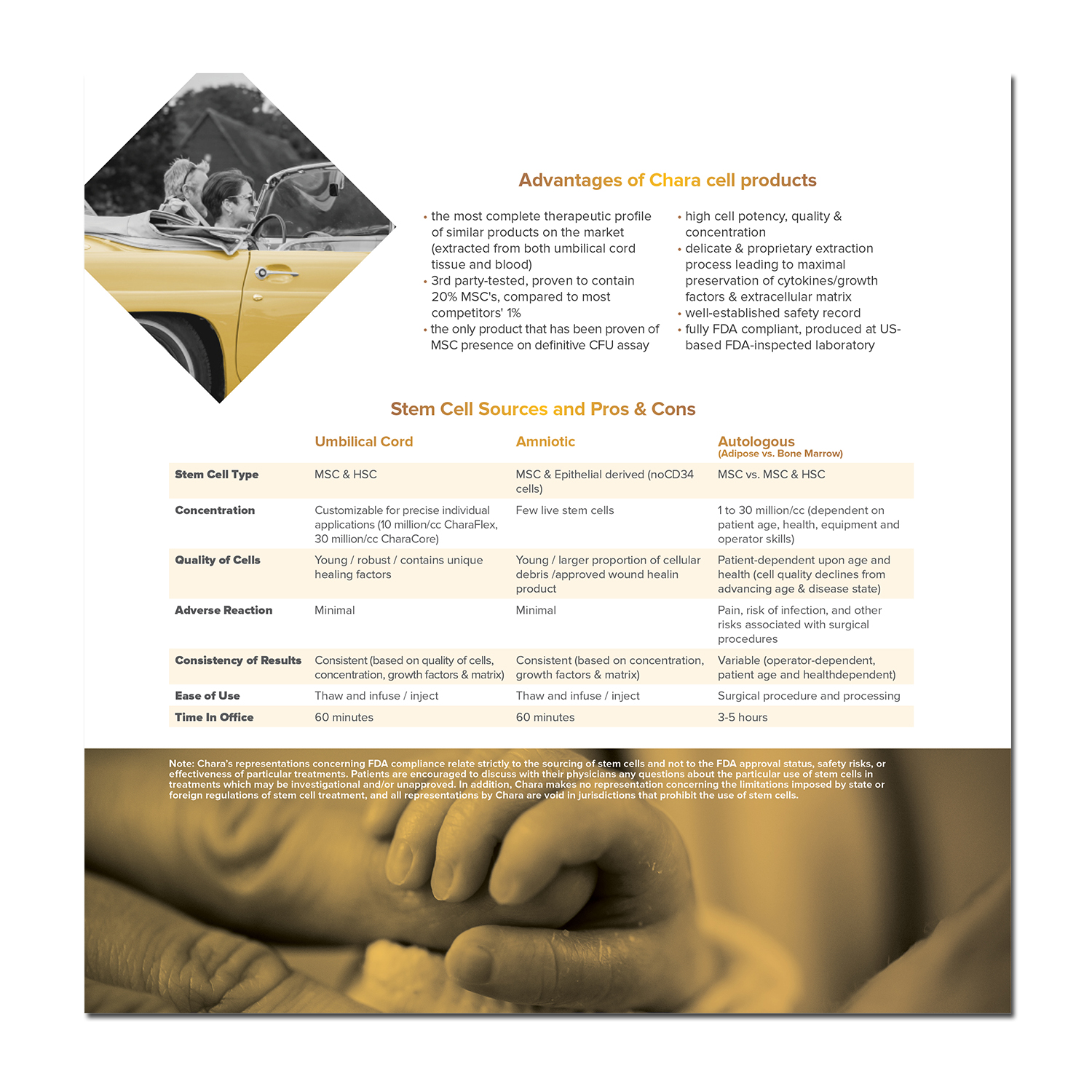 Brochure Design by banedsgn for this project | Design #17527561