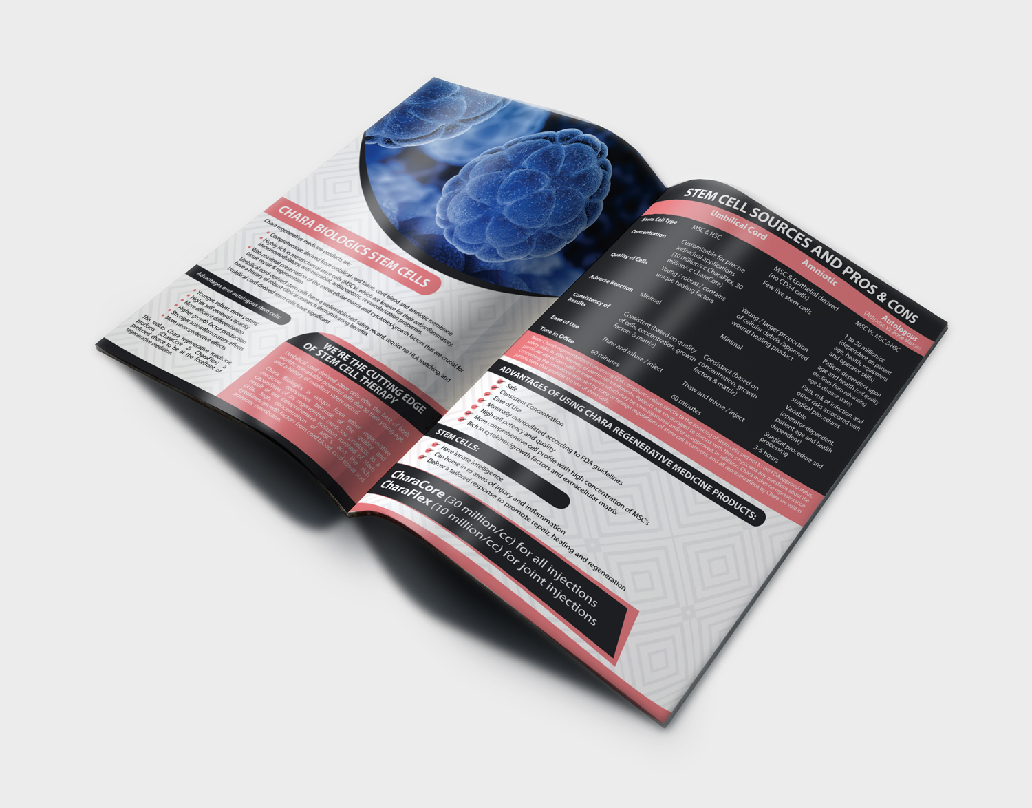 Brochure Design by Dexter Solutions for this project | Design #17453423