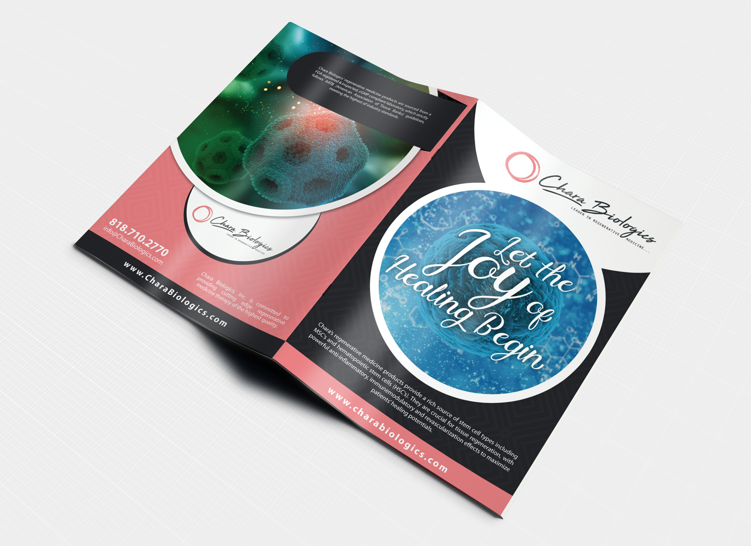 Brochure Design by Dexter Solutions for this project | Design #17453424