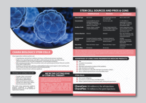 Brochure Design by Dexter Solutions for this project | Design: #17453425