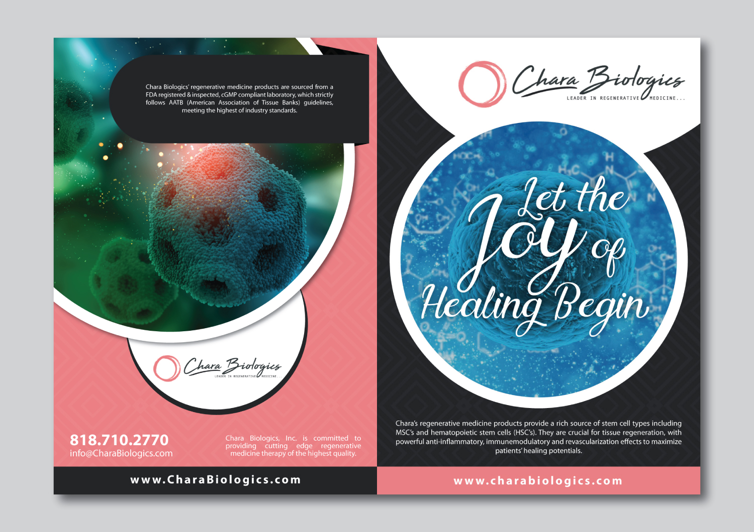 Brochure Design by Dexter Solutions for this project | Design #17453427