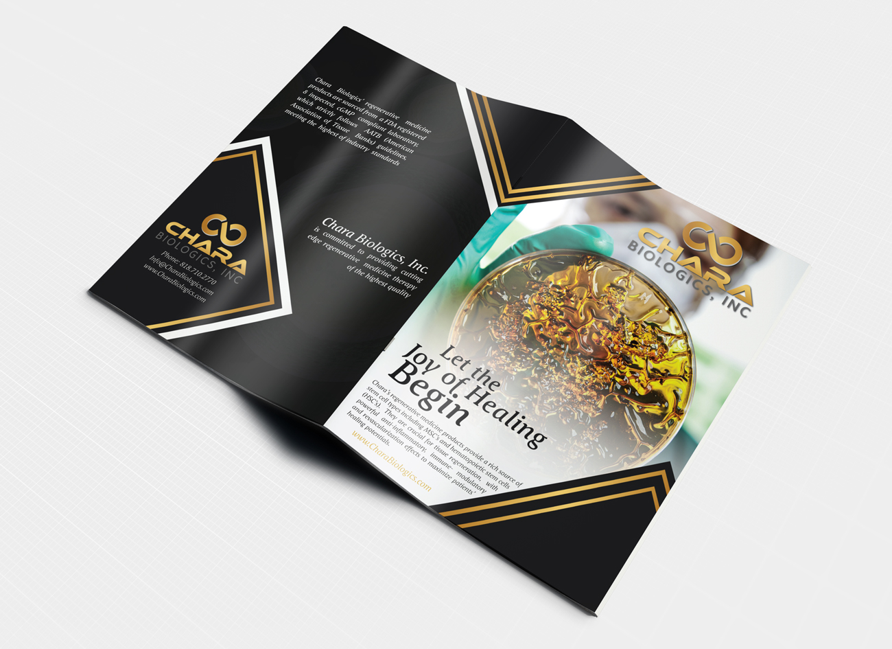 Brochure Design by Dexter Solutions for this project | Design #17456462