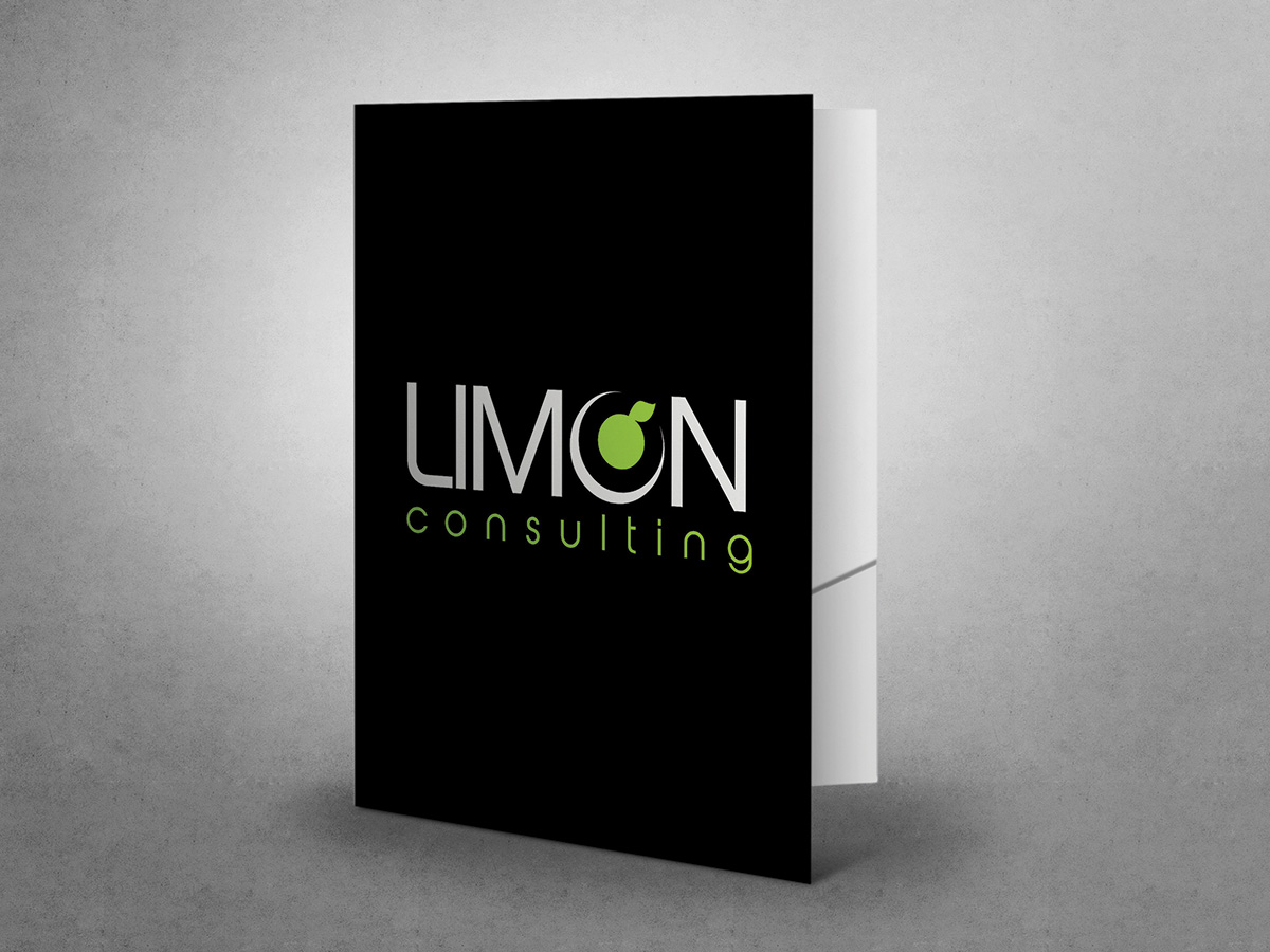 Stationery Design by Emmanuel for Wise Monkey SA | Design #2761805