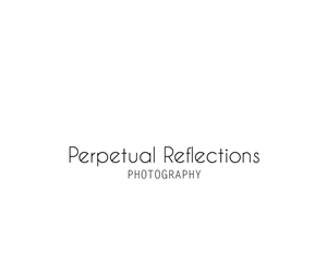 Logo Design by Shank for this project | Design: #2723391