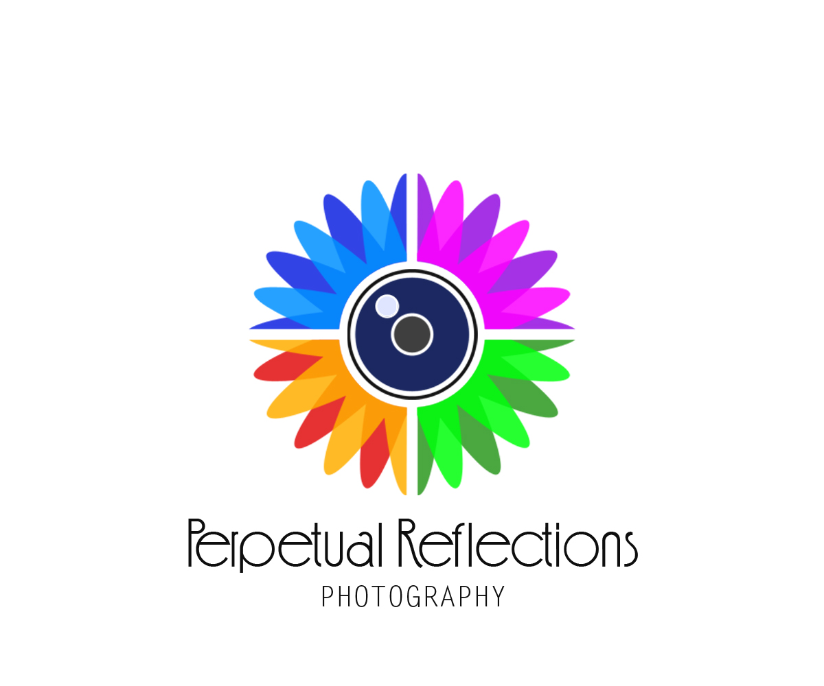 Logo Design by Shank for this project | Design #2741921