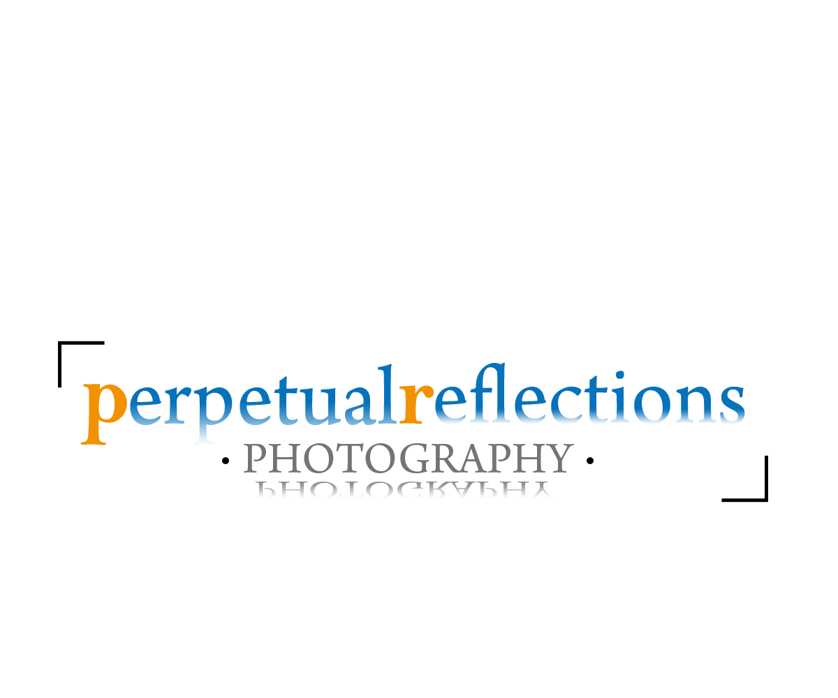 Logo Design by chicDesign for this project | Design #2739365