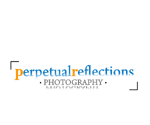 Logo Design by chicDesign