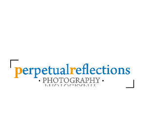 Logo Design by chicDesign for this project | Design: #2740821