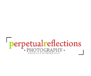 Logo Design by chicDesign for this project | Design: #2746263