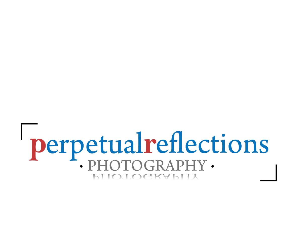 Logo Design by chicDesign for this project | Design #2746265