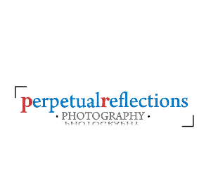 Logo Design by chicDesign for this project | Design: #2746265