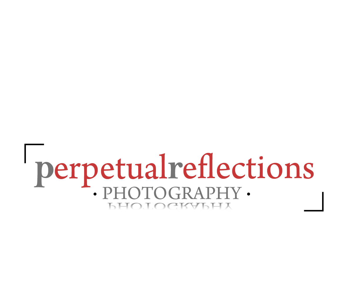 Logo Design by chicDesign for this project | Design #2746270