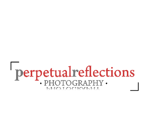 Logo Design by chicDesign for this project | Design: #2746270