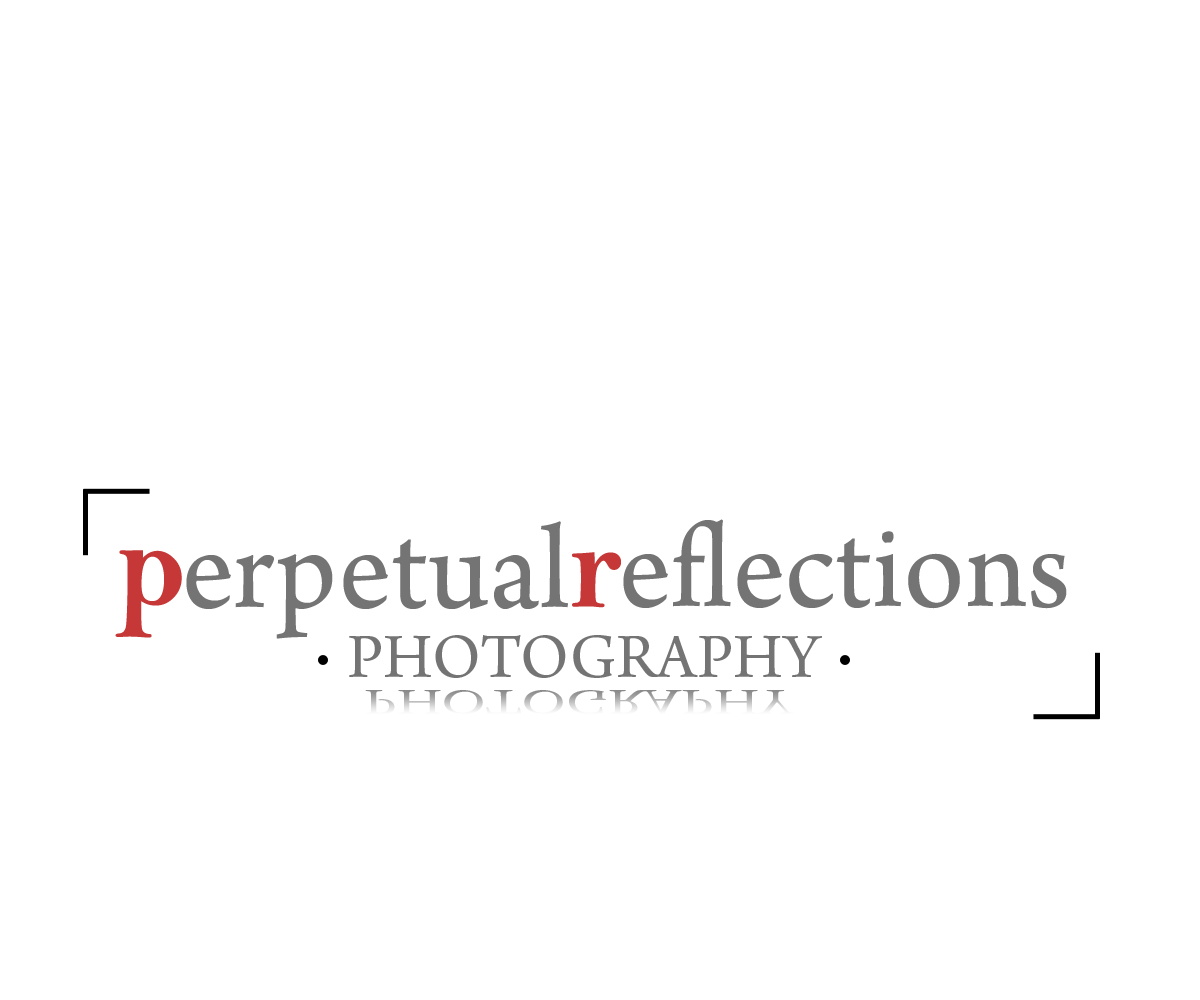 Diseño de Logo por chicDesign para este proyecto | Diseño #2746271