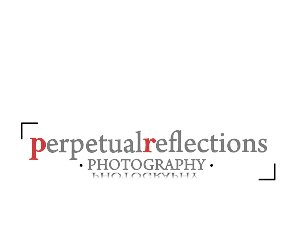 Logo Design by chicDesign for this project | Design: #2746271