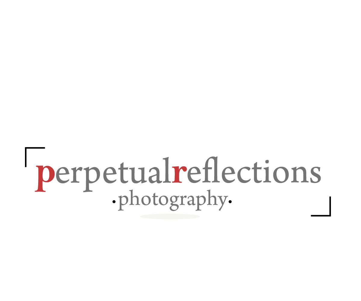 Logo-Design von chicDesign für dieses Projekt | Design #2746274