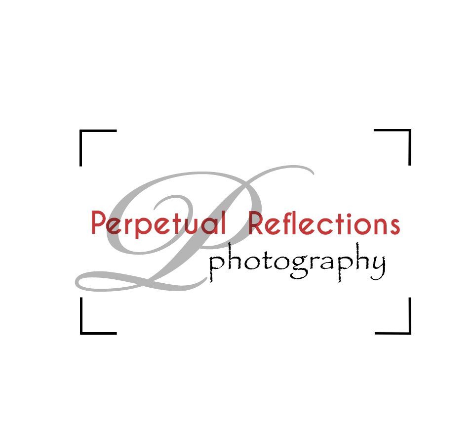 Logo Design by chicDesign for this project | Design #2746279