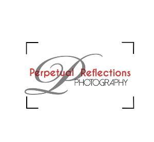 Logo Design by chicDesign for this project | Design: #2746281