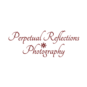 Logo Design by sarah_holmes