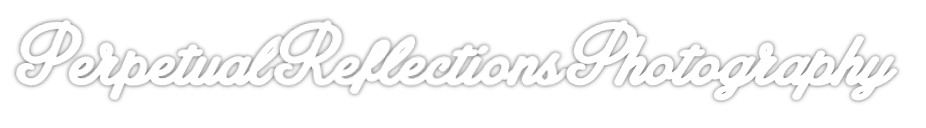 Logo Design by kendallb for this project | Design #2719530