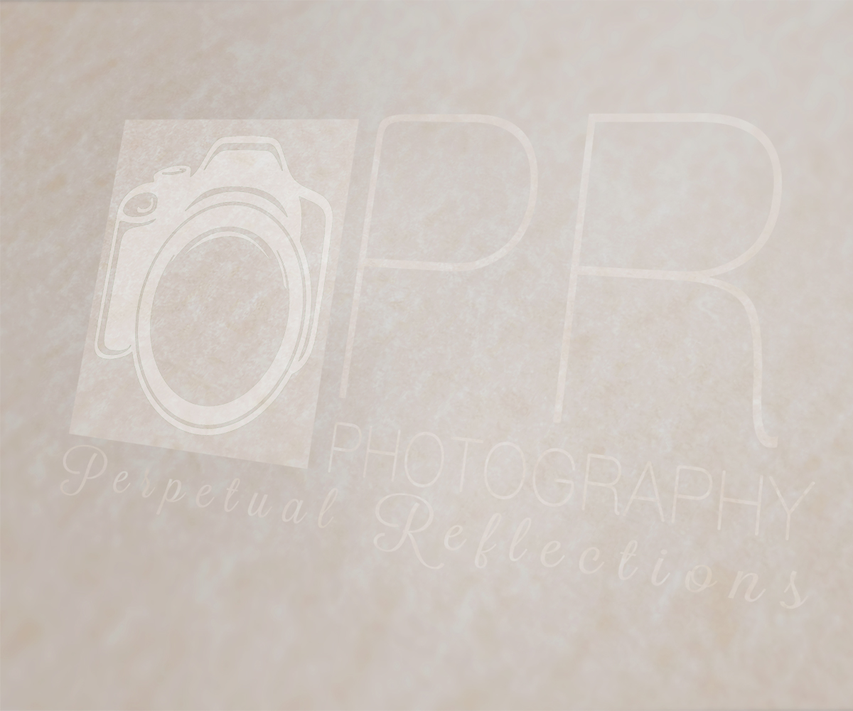 Logo Design by Dwayne_88 for this project | Design #2737219