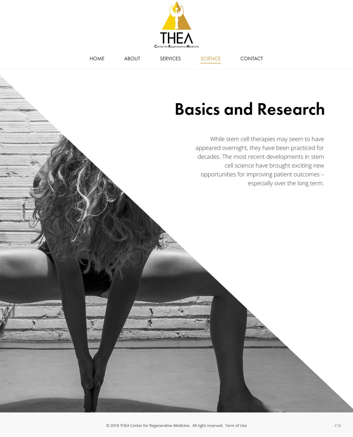 Web Design by pb for this project | Design #17503558