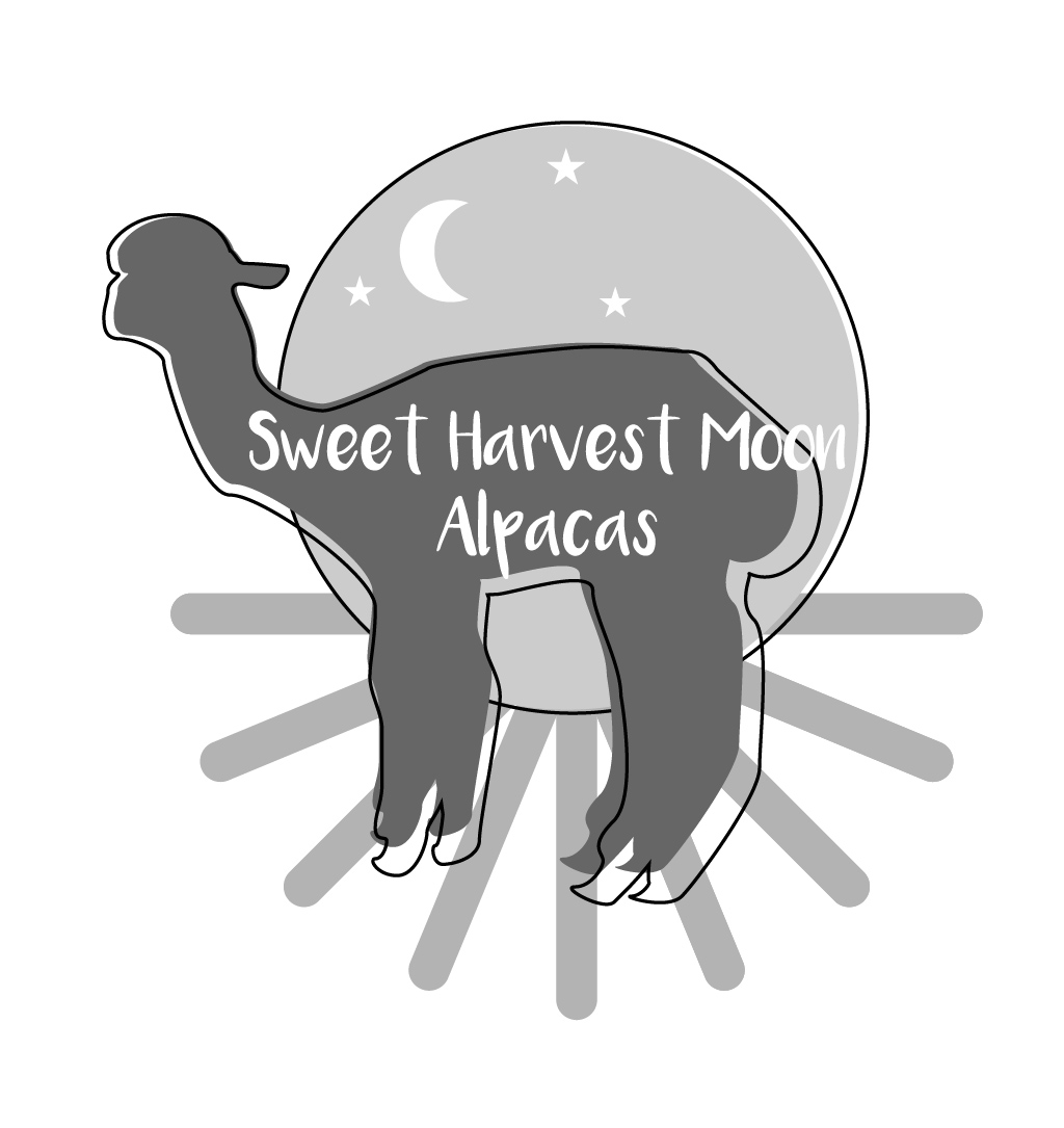 Logo Design by Kimh for Sweet Harvest Moon Alpacas | Design #17521783