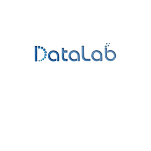 Logo Design by DesignDUO for Datalab | Design: #17580988