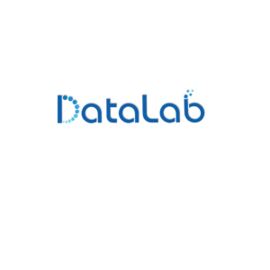 Logo Design by DesignDUO for Datalab | Design: #17581536