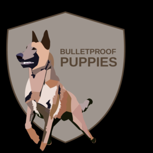 Logo Design by JL Designing for Bradley Andrew Griggs T/A Canine Services International | Design #17532557