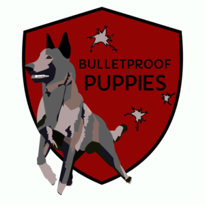 Logo Design by JL Designing for Bradley Andrew Griggs T/A Canine Services International | Design: #17545260
