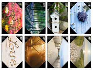 Diseño de Empaque por Bri Williams-Powell para este proyecto | Diseño: #637644