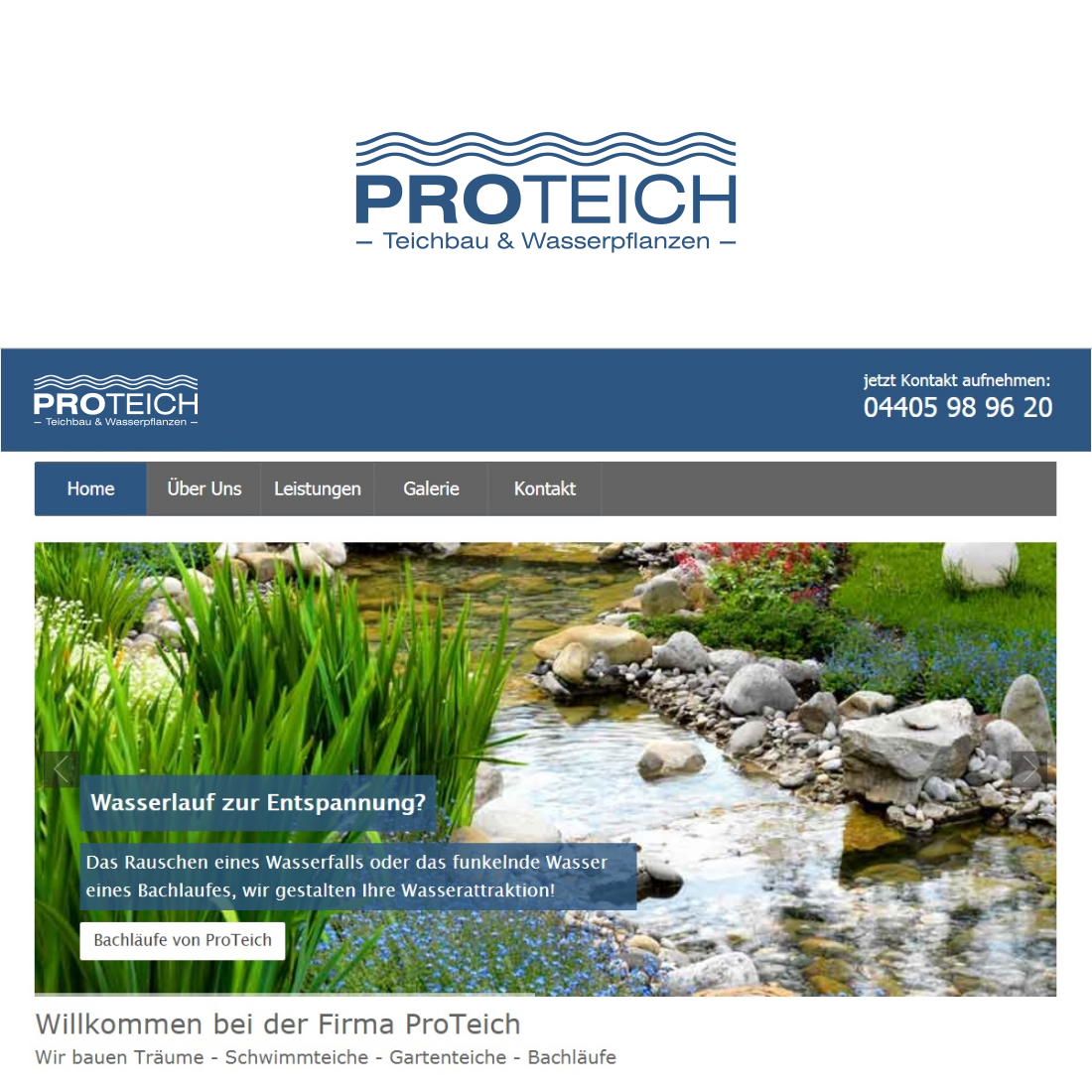 Logo Design by DesignMonkeyBH for ProTeich | Design #17460881