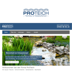 Logo Design by DesignMonkeyBH for ProTeich | Design: #17460881