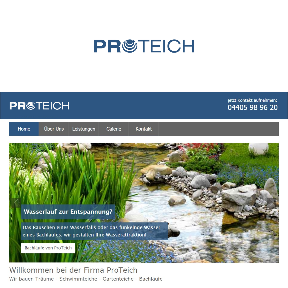 Logo-Design von DesignMonkeyBH für ProTeich | Design #17463438